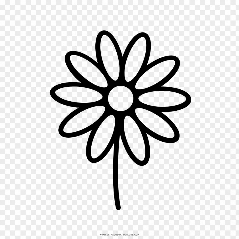 Flor Drawing Stock Photography Royalty-free PNG