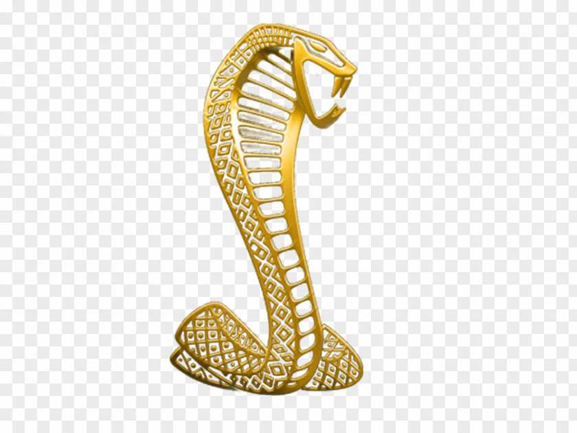 Gold Fire Body Jewellery PNG