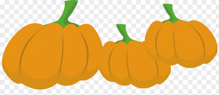 Harvest The Big Pumpkin Jack-o'-lantern PNG