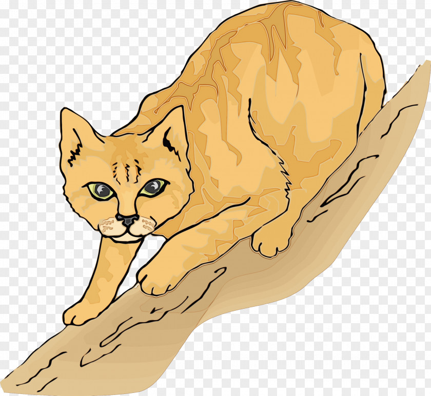 Kitten Drawing Cat Fennec Fox Small To Medium-sized Cats Clip Art Tail PNG