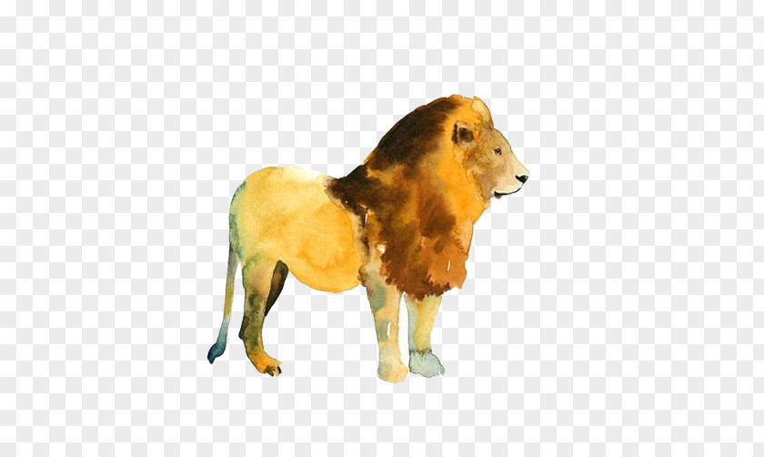 Lion King Of Beasts Hand Drawing Animal Painting PNG
