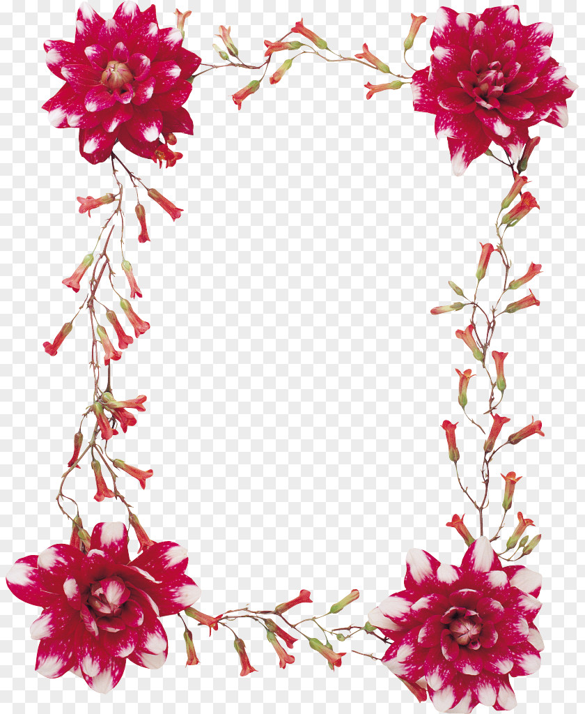 Mahavir Cut Flowers Floral Design Floristry Petal PNG