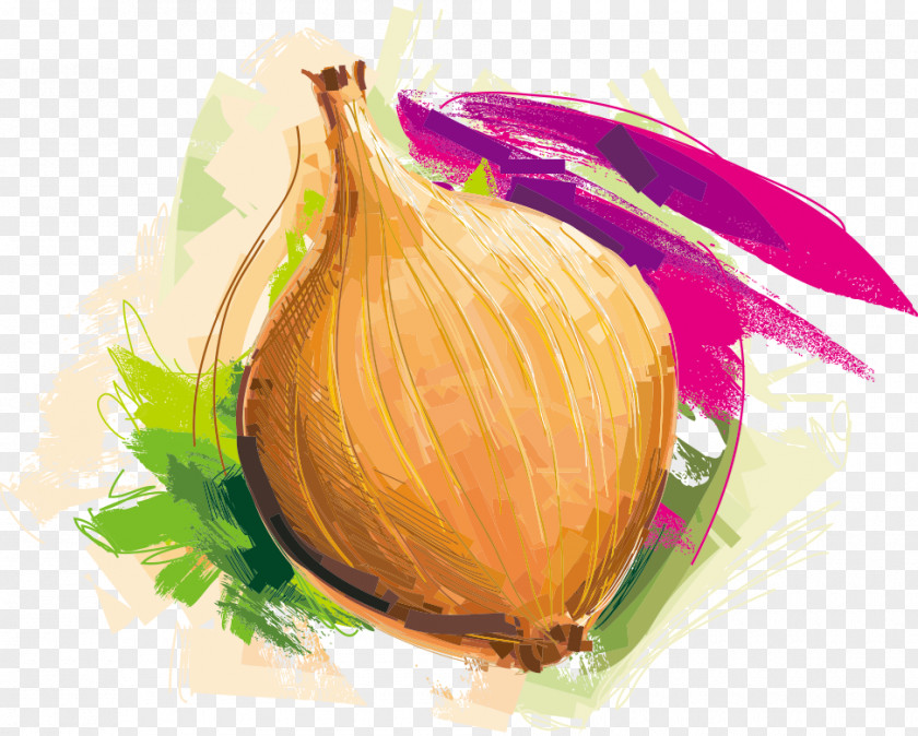Vector Cartoon Onion I Know My Onions: Homesteading North Of The 53rd Butter Chicken Ring Vegetable PNG