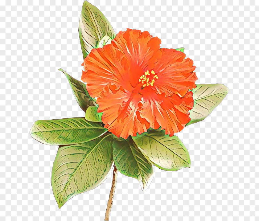 Artificial Flower Cut Flowers PNG