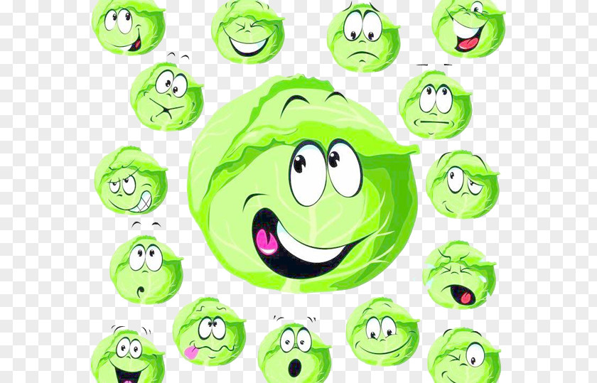 Cute Cabbage Cartoon Vegetable PNG