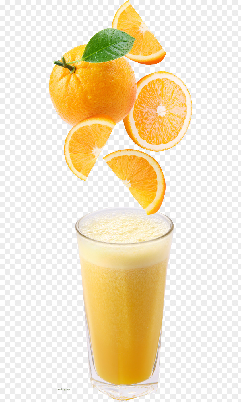 Orange Drink Juice Cocktail Sangria PNG