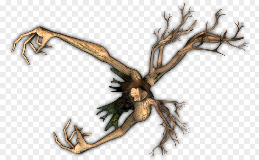 Deer Antler Legendary Creature Branching PNG