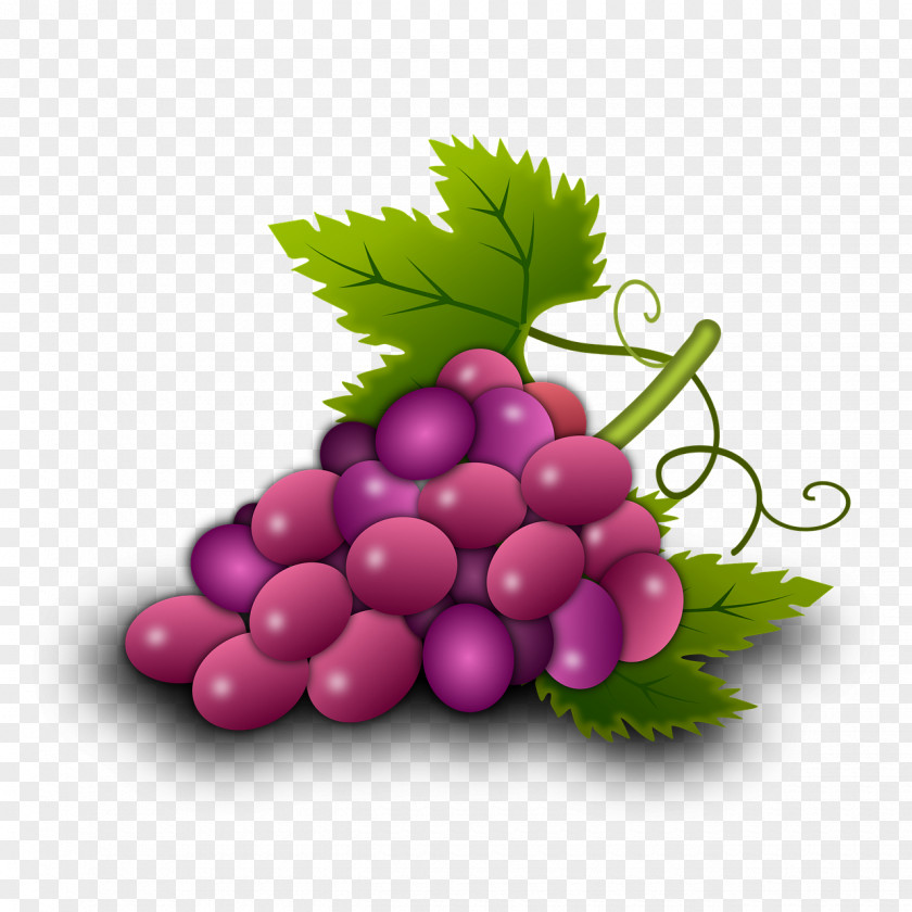 Grapes Common Grape Vine Wine Leaves Food PNG
