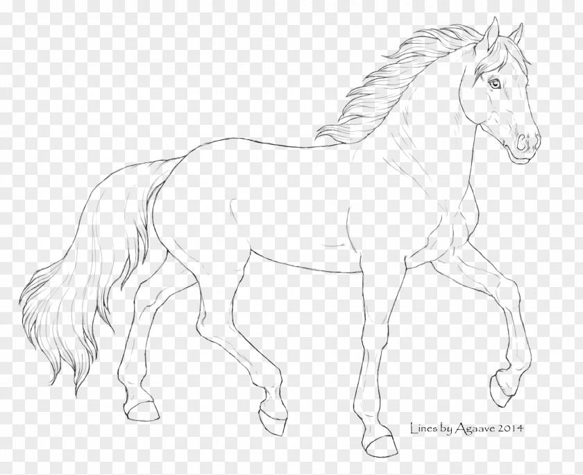 Lineart Mustang Pony Foal Stallion Colt PNG