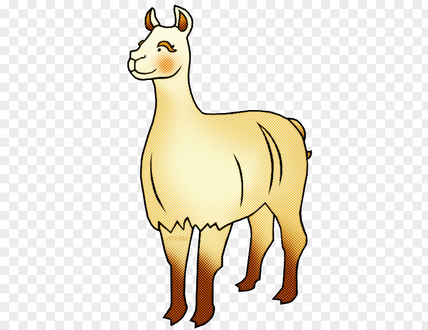 Llama PNG