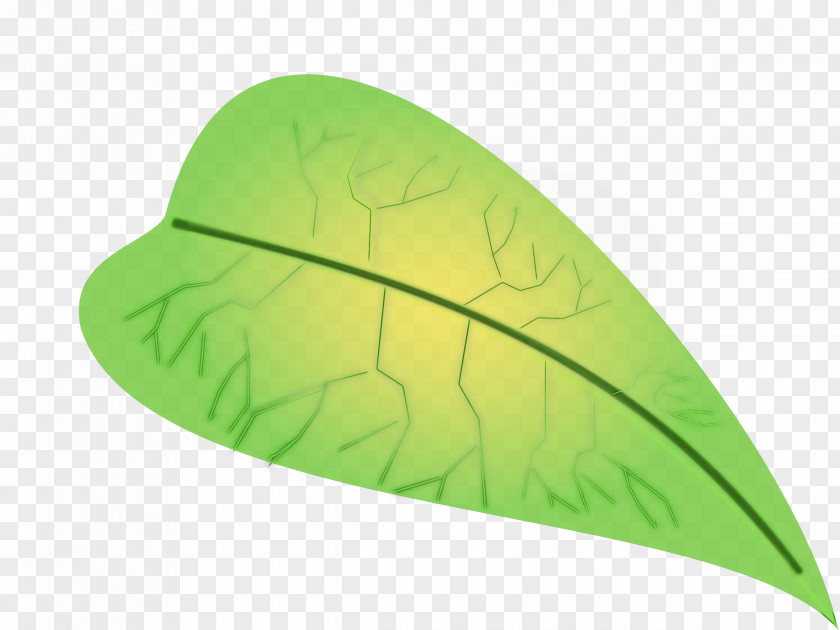 Logo Grass Leaf Green Plant PNG