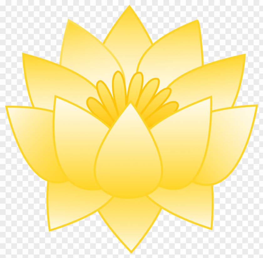 Lotus Nelumbo Nucifera Lutea Flower Yellow PNG