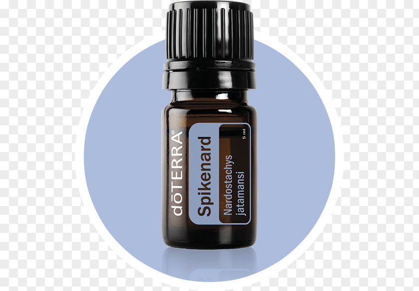 Oil DoTerra Essential Douglas Fir Abies Sibirica PNG