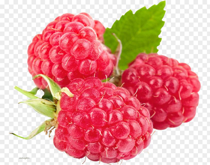 Raspberry Ketone Vegetarian Cuisine Health Fruit PNG