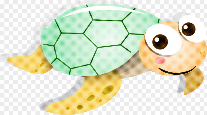 Tortoise Turtle Sea Green Cartoon PNG