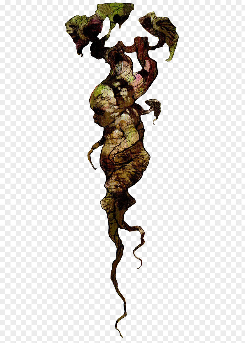 Harry Potter And The Chamber Of Secrets Mandrake Witch Magic PNG