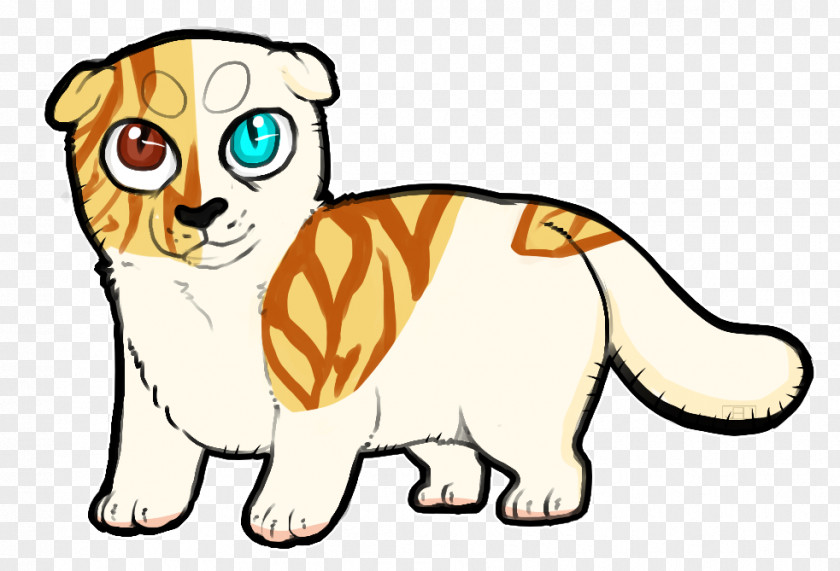 Scotish Fold Whiskers Puppy Tiger Cat Dog PNG