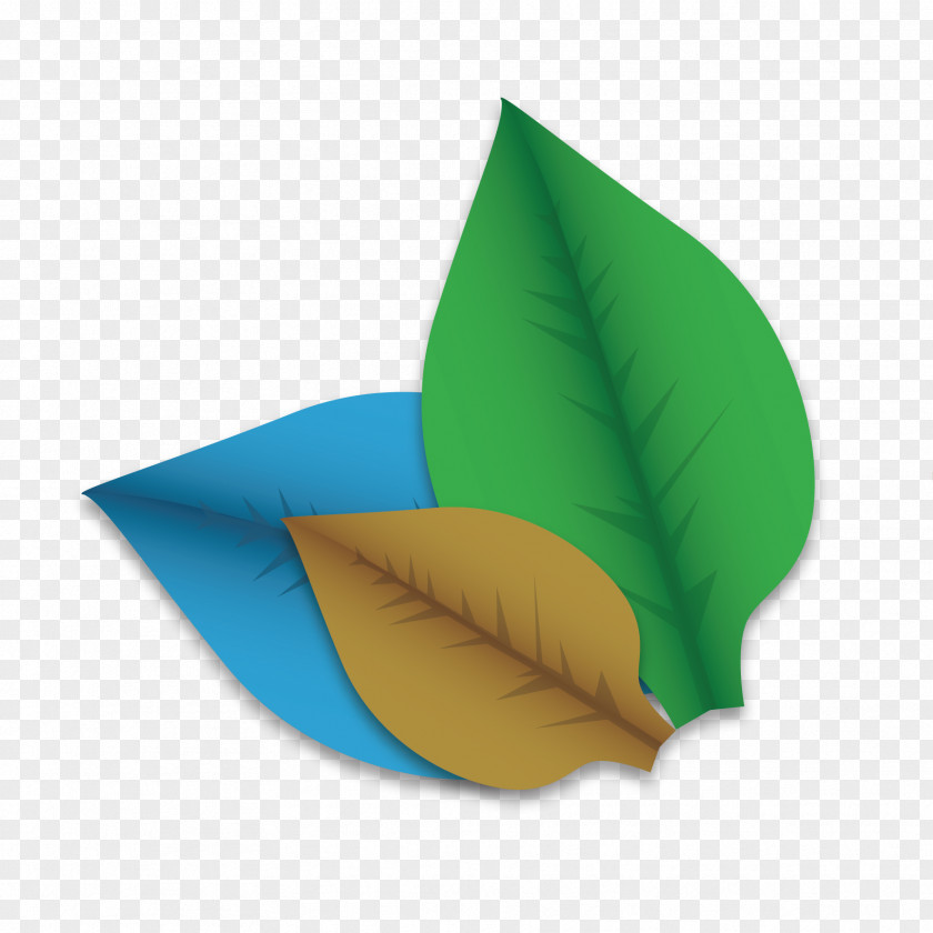 Vector Leaf Decoration Euclidean PNG