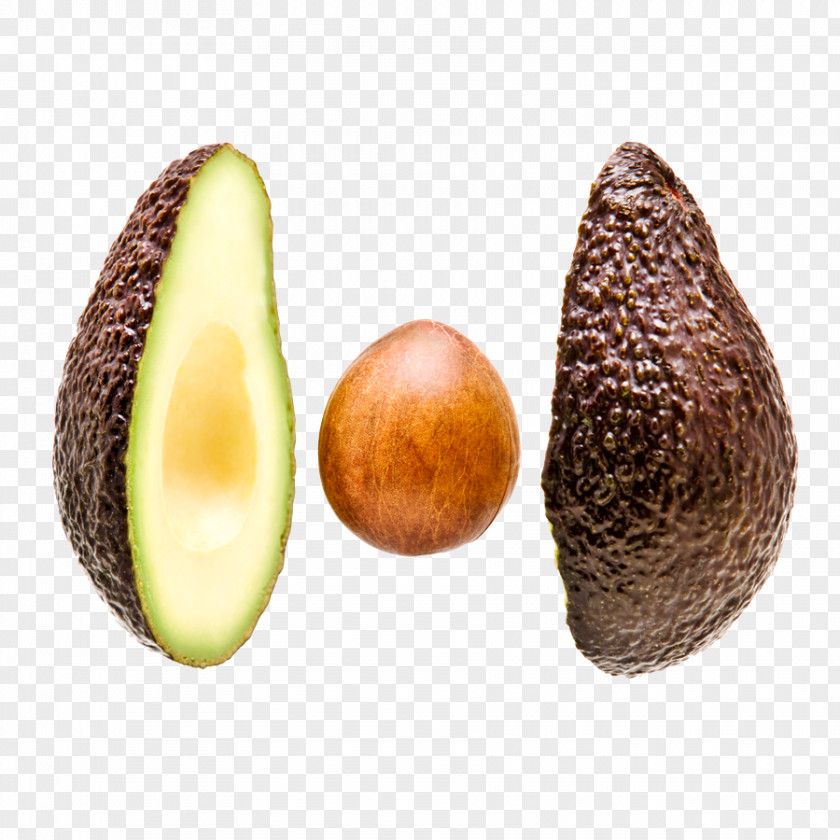 Avocado Tea Seed Food Coffee PNG