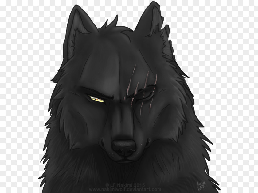 Black Wolf Coyote Pack Drawing PNG