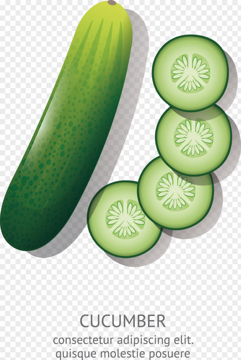Cucumber Cartoon Animation Drawing PNG