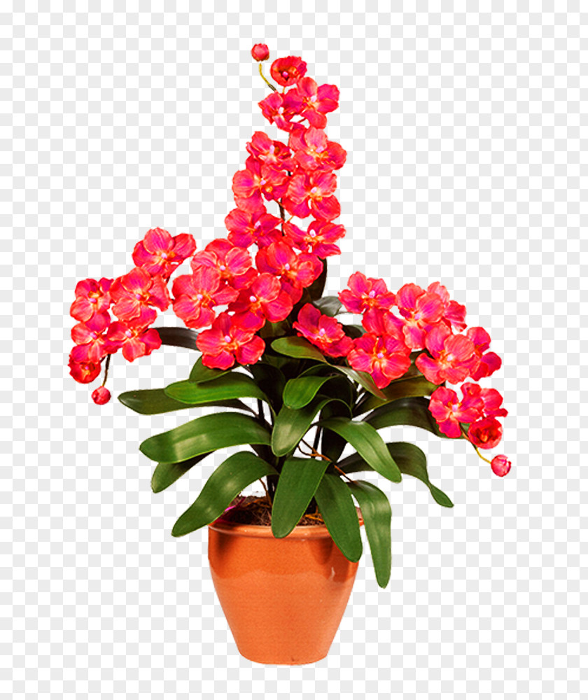 Flower Pot PNG pot clipart PNG