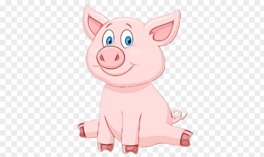 Livestock Snout Domestic Pig Cartoon Suidae Pink Nose PNG