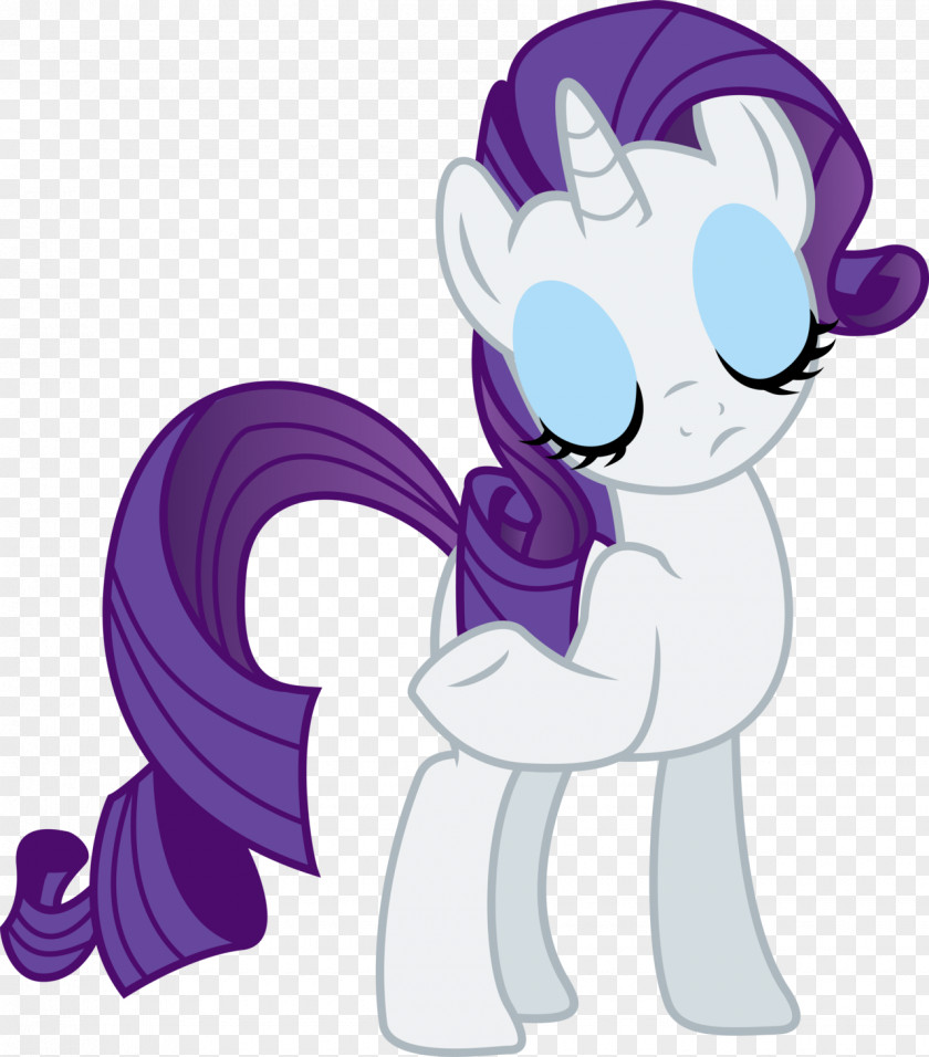 My Little Pony Rarity Rainbow Dash Twilight Sparkle Applejack Derpy Hooves PNG