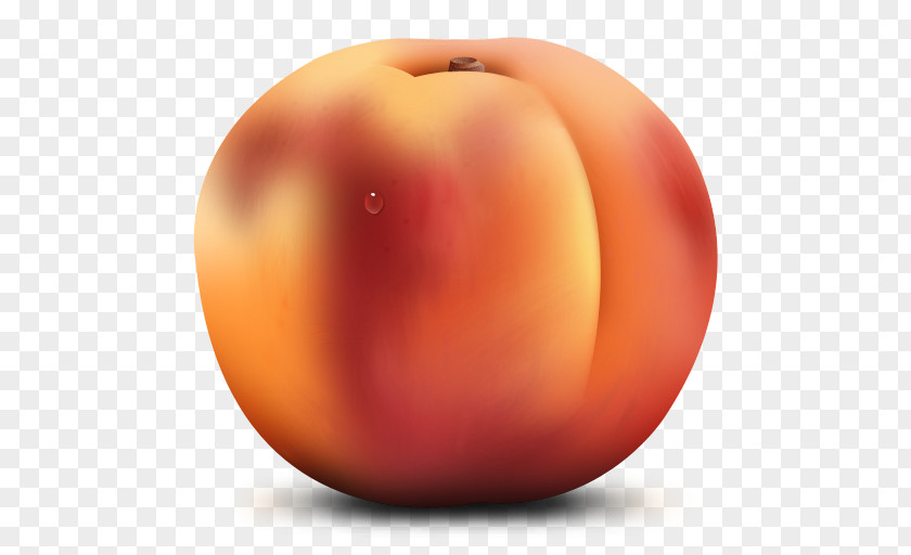 Peach Cliparts ICO Fruit Icon PNG