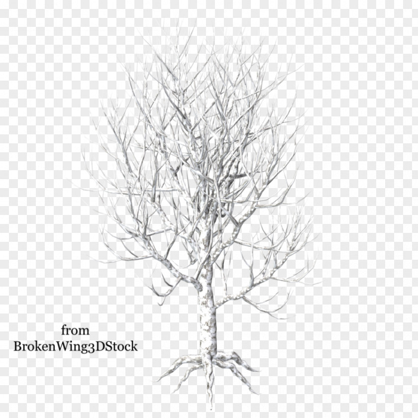 Snow Tree Paper Birch Winter Branch PNG