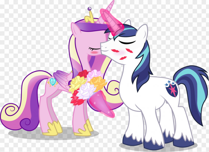 Vector Cartoon Wedding Couple Princess Cadance Pony DeviantArt Luna Armour PNG
