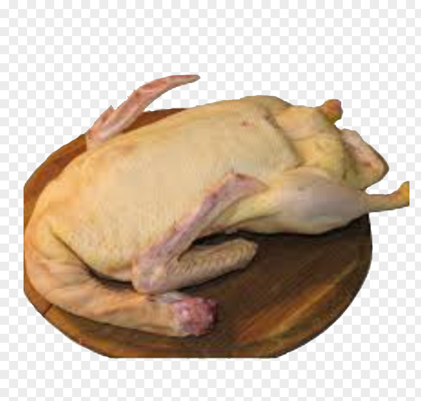 Duck Domestic Turkey Meat Bird Chicken PNG