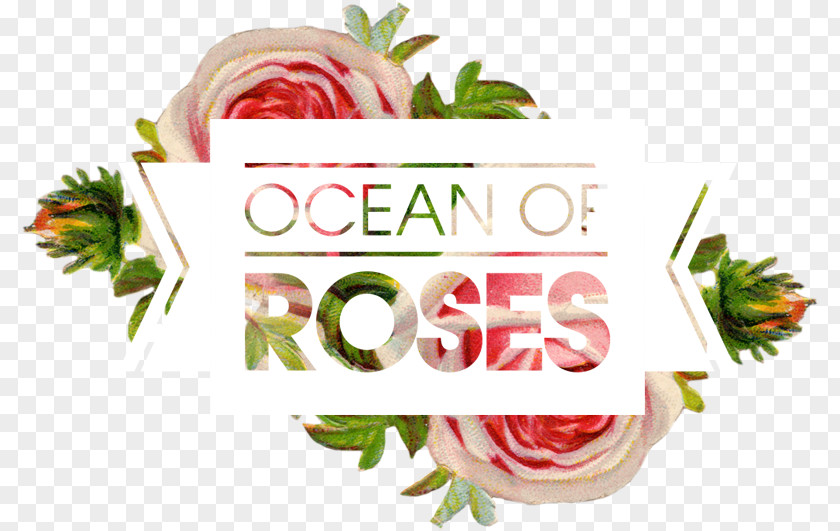 Ocean Tumblr Themes Food Floral Design Car Vegetable Oval PNG