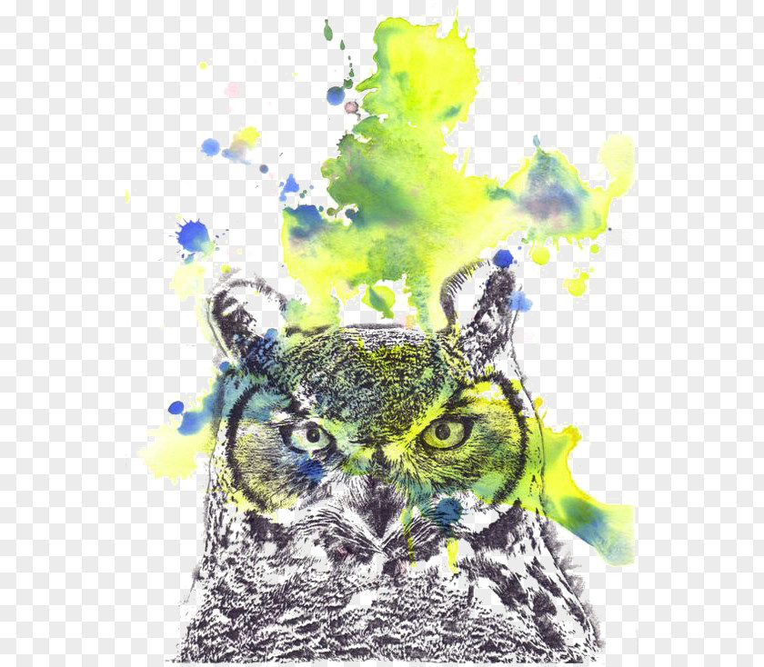 Owl Sloth Watercolor Painting PNG