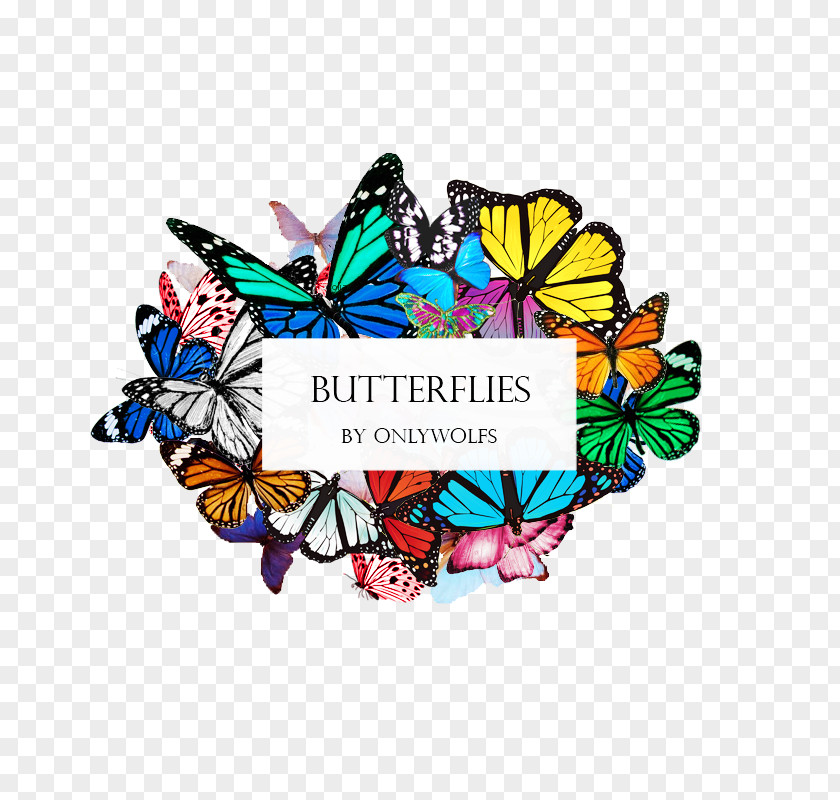 Qutb Minar Butterfly DeviantArt PNG