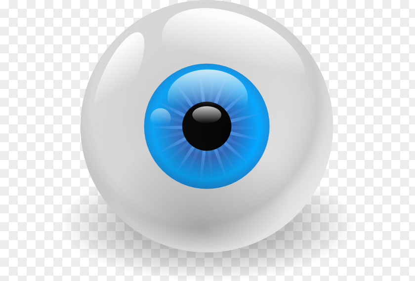 Vector Eye Color Clip Art PNG