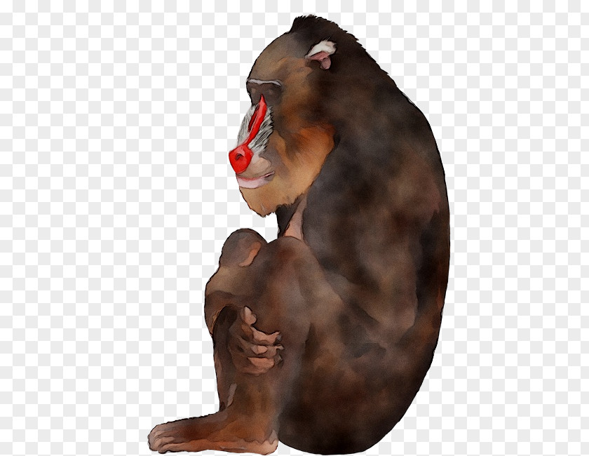 Wall Decal Baboons Mural Sticker PNG