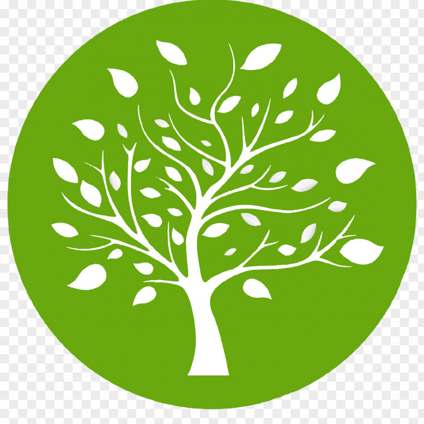 Circular Trees Value Tree Av S.A Investment Fund Price Finance PNG