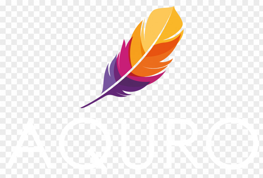 Colorful Feather Bird PNG
