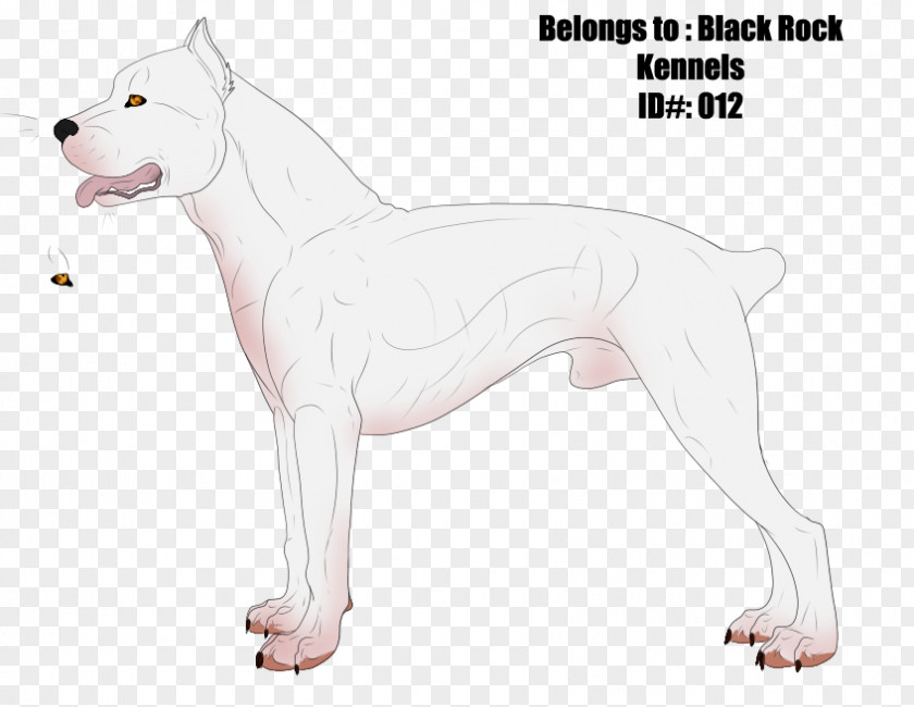 Dogo Argentino Cordoba Fighting Dog Old English Terrier Breed Guatemalan PNG