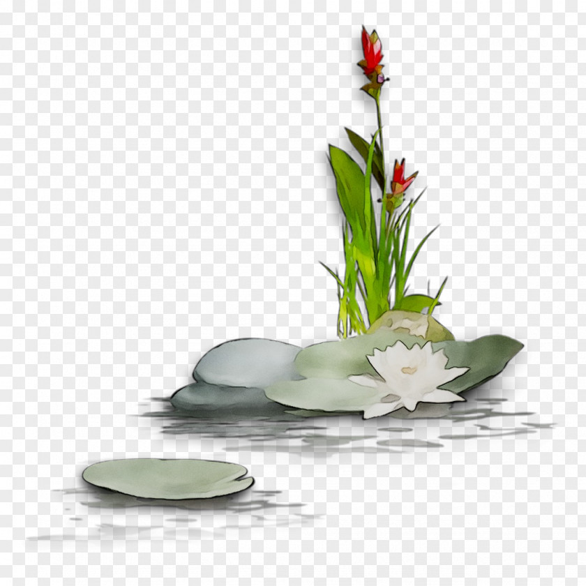 Floral Design Vase Cut Flowers PNG