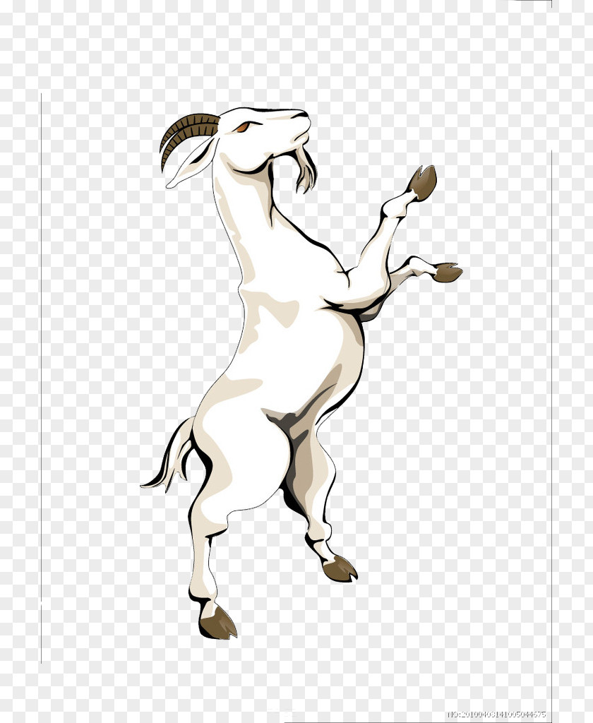 Goat Standing Cheese Horse Drawing PNG