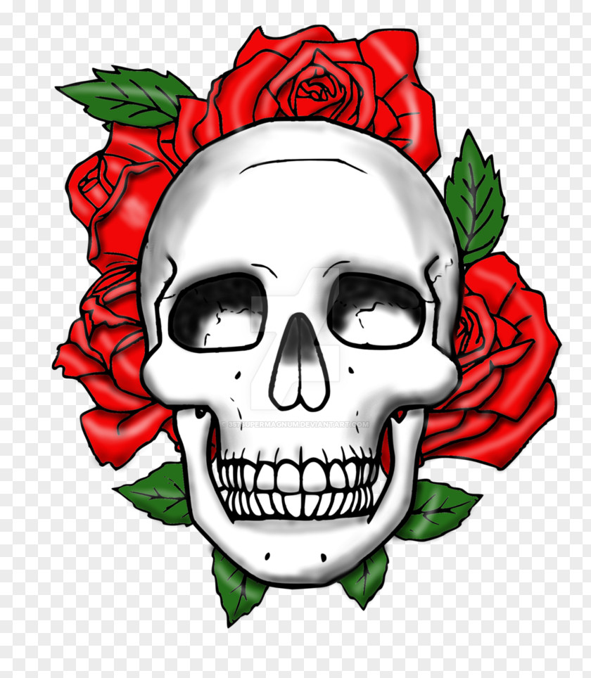 Skulls Skull Art Rose Bone Clip PNG