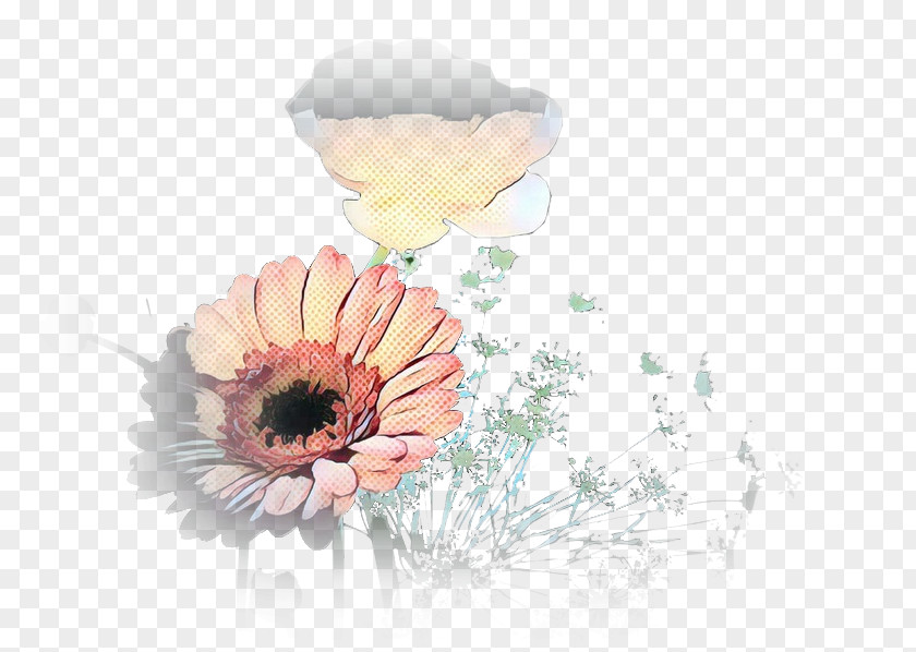 Transvaal Daisy Illustration Floral Design Desktop Wallpaper PNG