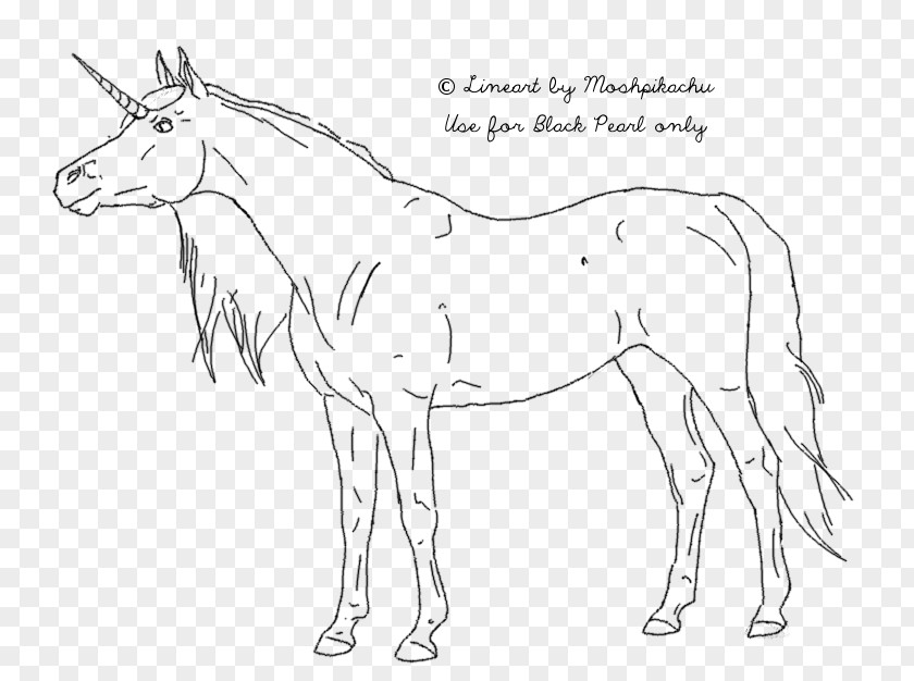 Unicorn Horse Drawing Line Art Wiring Diagram PNG