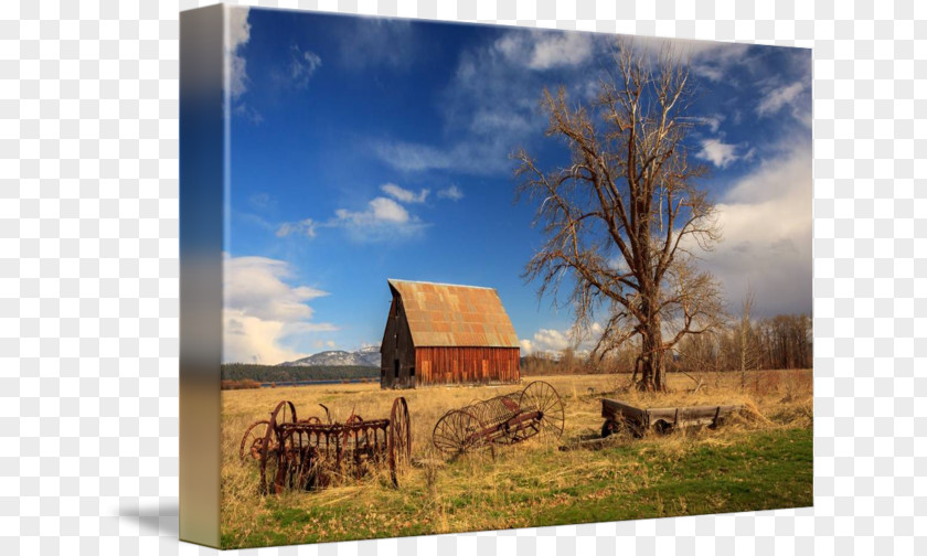 Barn Ranch Stock Photography Ecosystem PNG