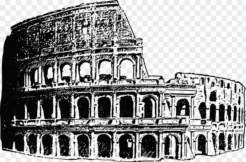 Colosseum Roman Forum Clip Art PNG