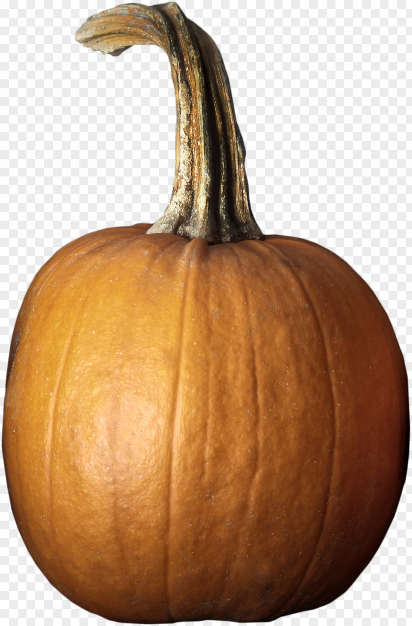 Creative Orange Pumpkin Calabaza Cucurbita Maxima Winter Squash PNG