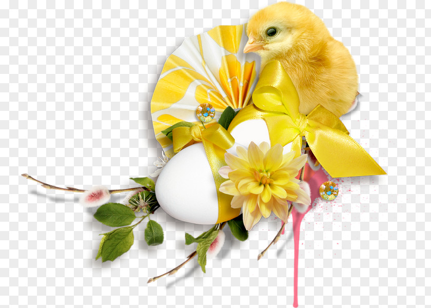 Easter Frame Photography Clip Art PNG