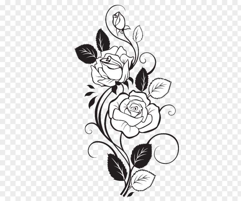 Roseau Ornament Vector Graphics Drawing Rose Design Flower PNG